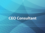 CEO Consultant